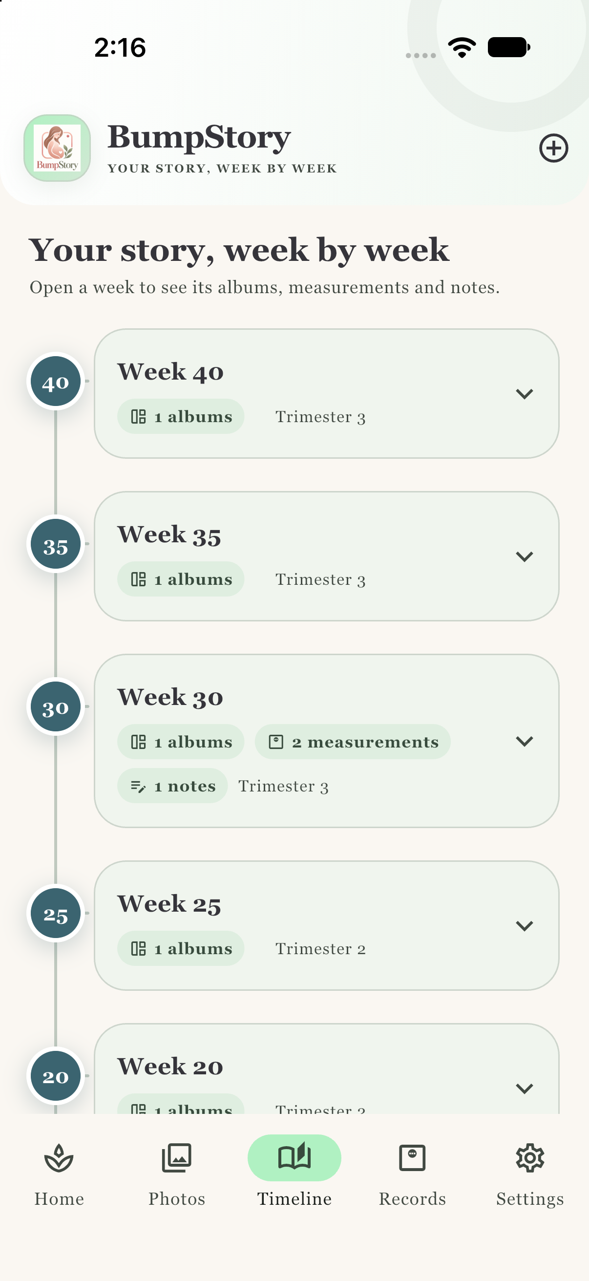 BumpStory timeline listing pregnancy weeks with albums, measurements, and notes